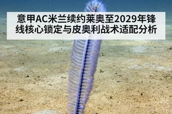 意甲AC米兰续约莱奥至2029年锋线核心锁定与皮奥利战术适配分析（jiuyou）