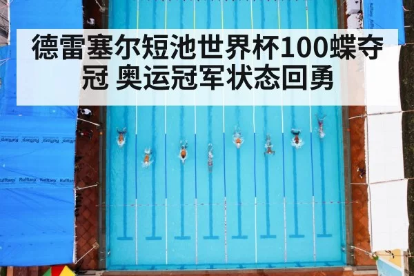 德雷塞尔短池世界杯100蝶夺冠 奥运冠军状态回勇（jiuyou）