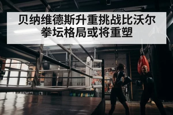 boxer training